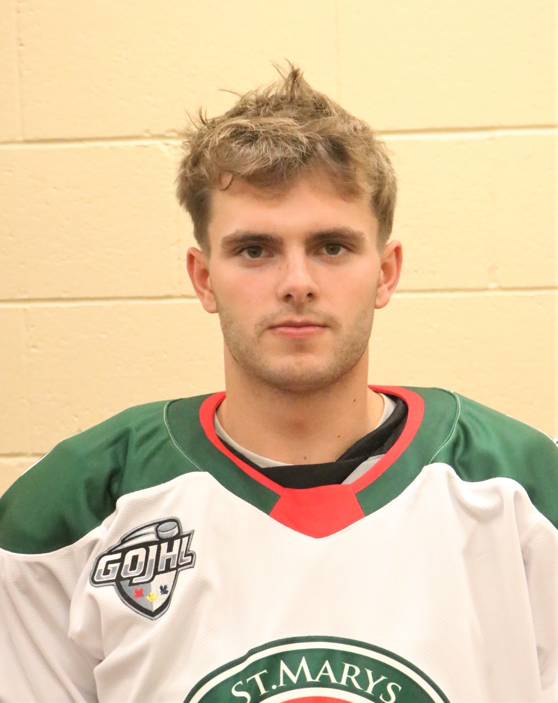 New Lincs’ captain Lamoureux says he will lead by example